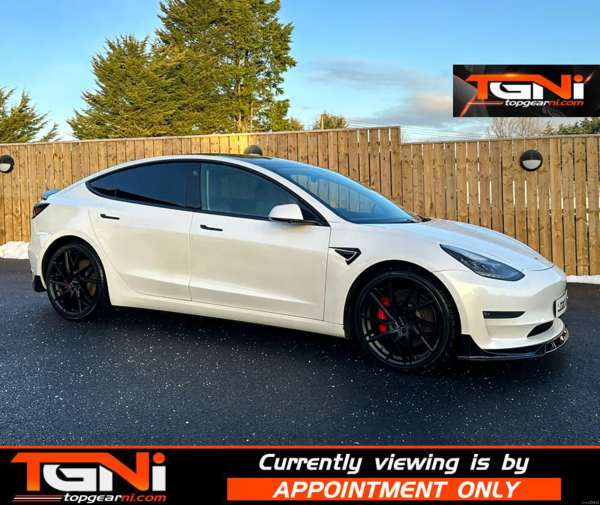 Mar 2020 TESLA Model 3 Performance AWD 4dr - Image 1