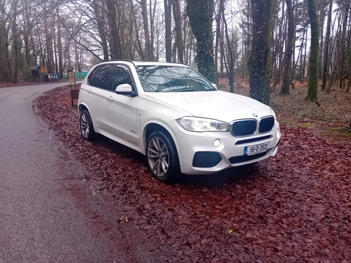 151 BMW X5, 3.0D M-SPORT AUTO 4X4 7 SEATER - Image 3