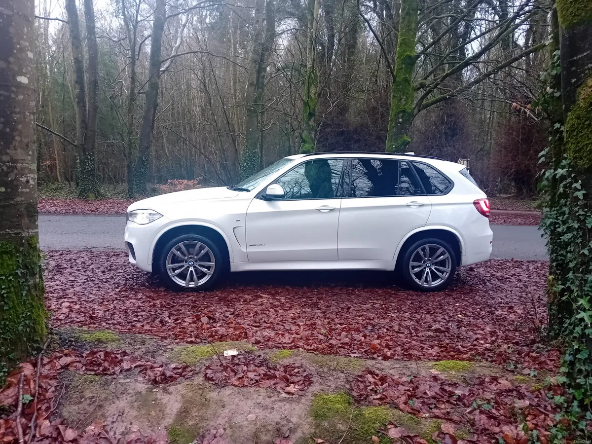 151 BMW X5, 3.0D M-SPORT AUTO 4X4 7 SEATER - Image 4