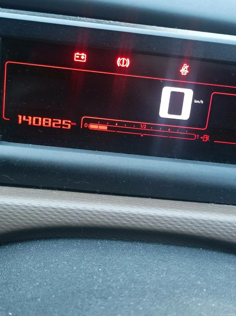 161 CACTUS C 4 FLAIR - Image 2