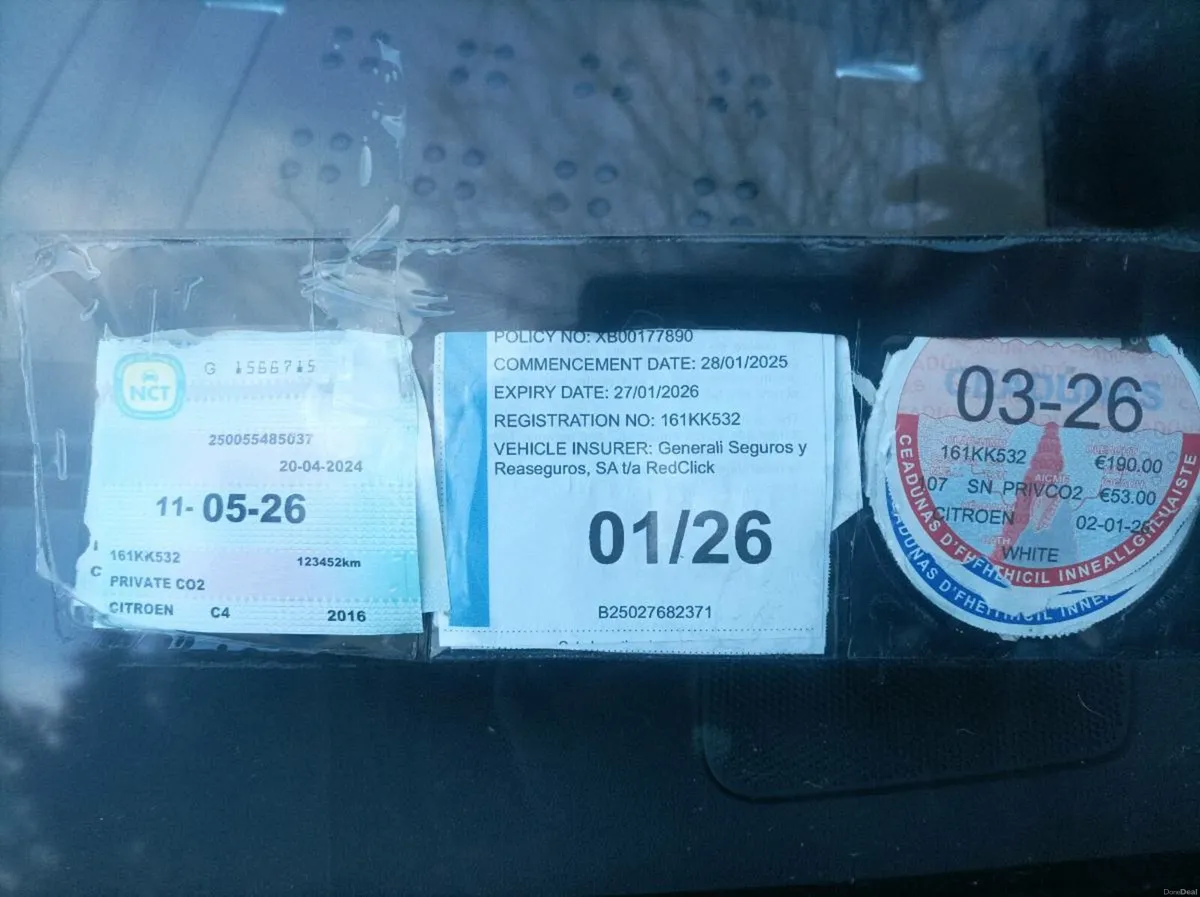 161 CACTUS C 4 FLAIR - Image 3