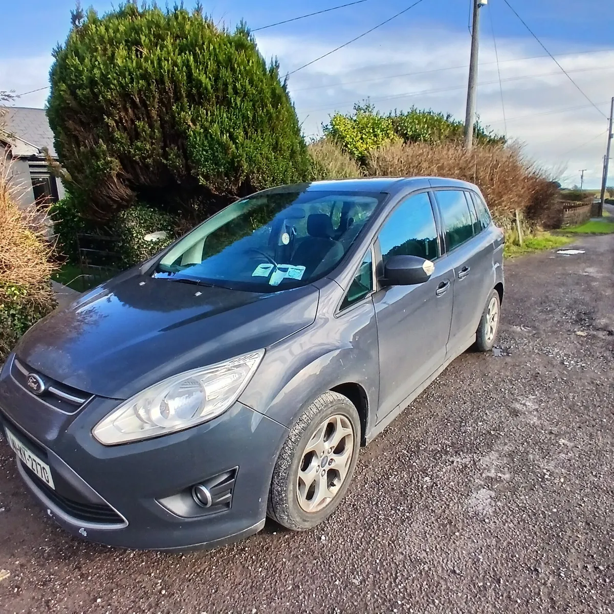 Ford Grand C-Max - Image 2