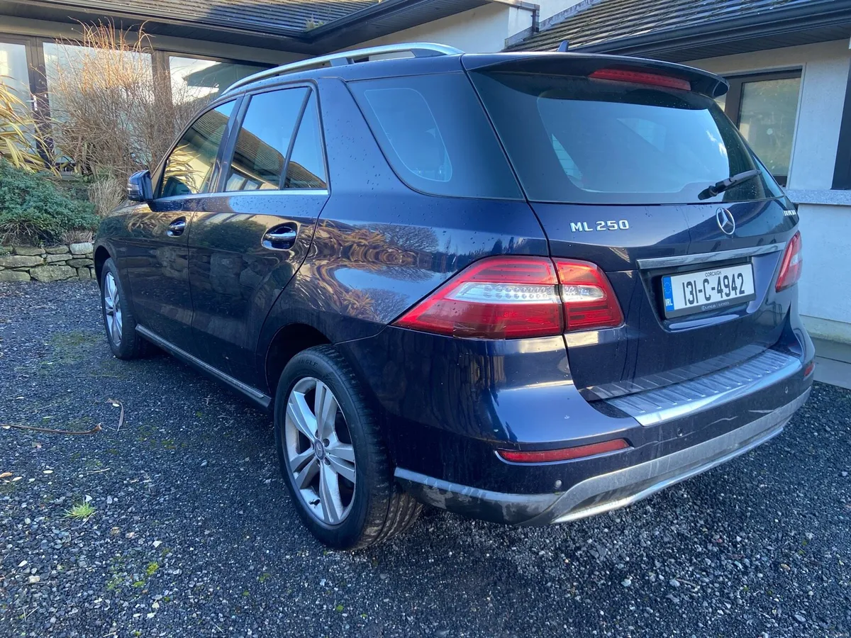 Mercedes Benz ML - Image 1