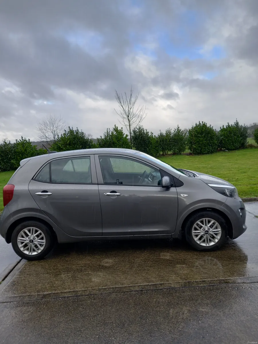 2022 Kia Picanto 1L Petrol - Image 1