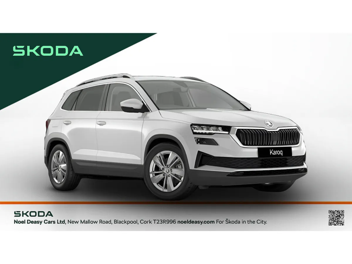 Skoda Karoq Selection - Image 4