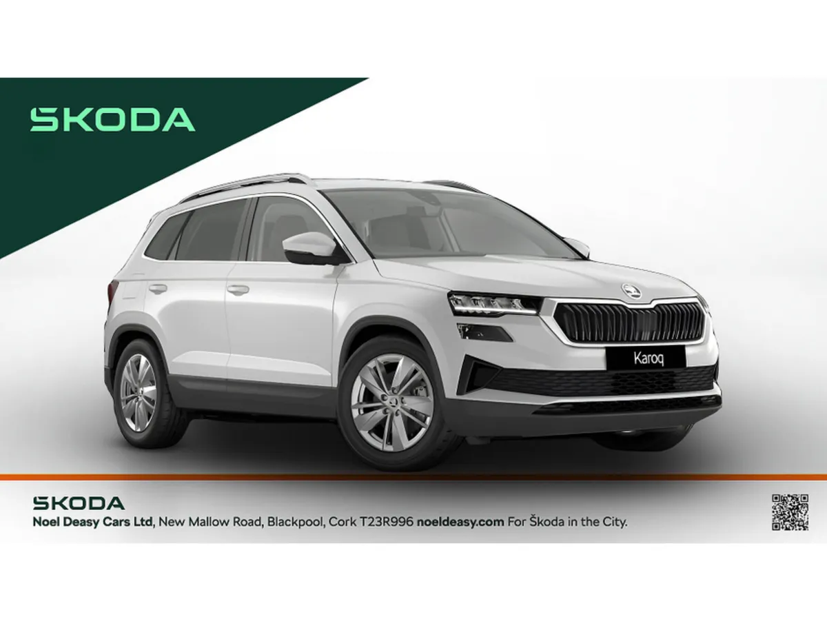 Skoda Karoq Selection - Image 1