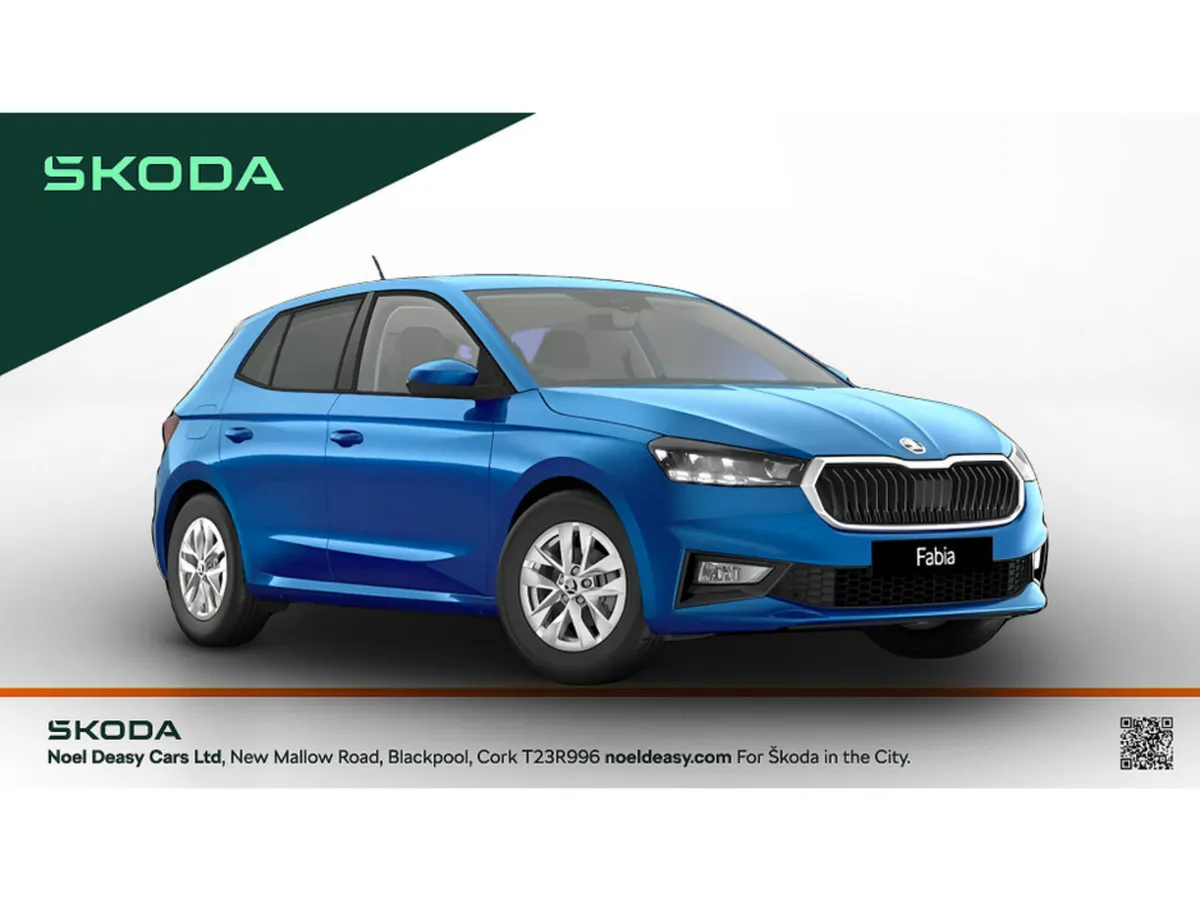Skoda Fabia Selection - Image 4