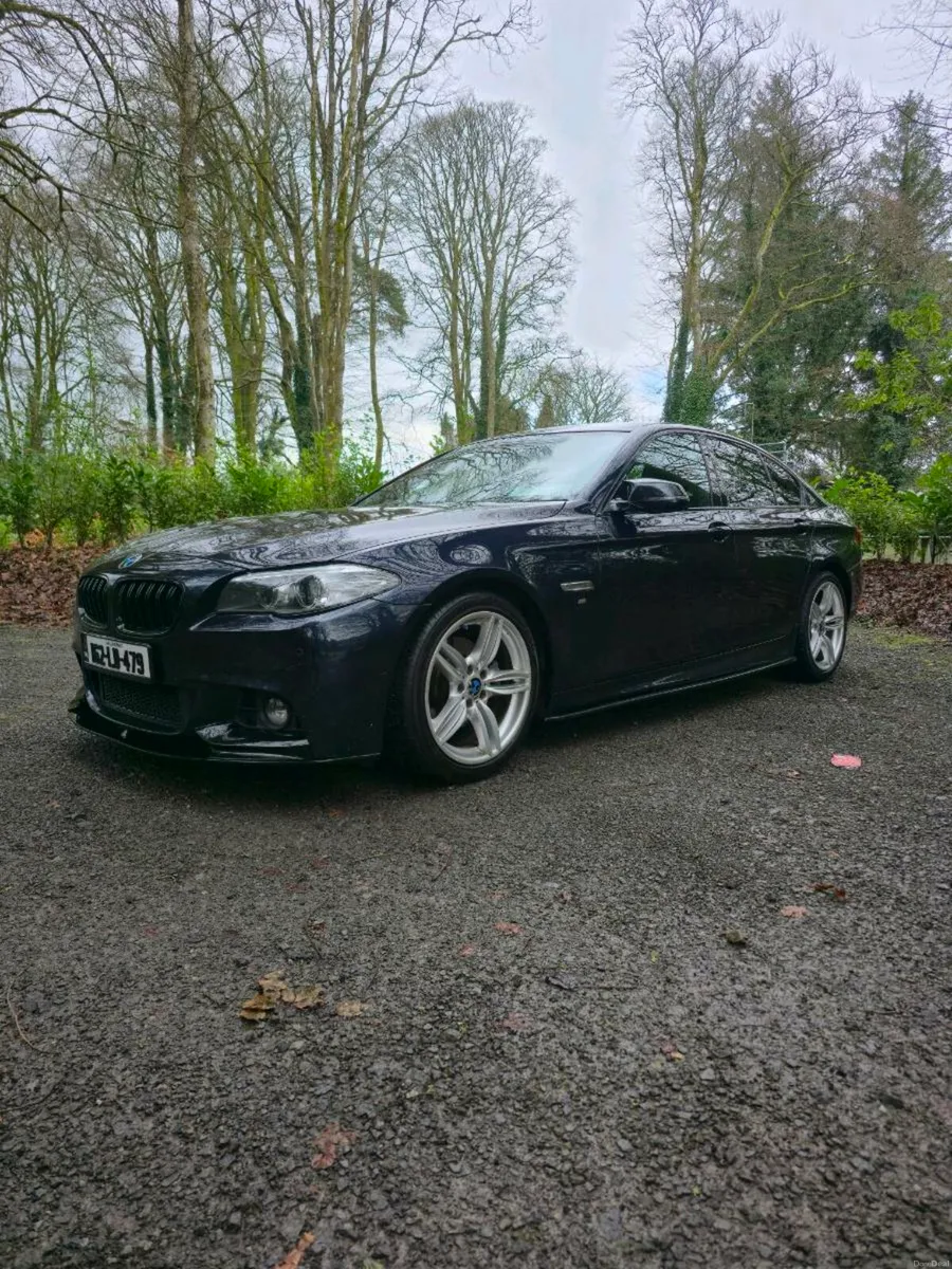 162 BMW 520d - M SPORT - HIGH SPEC - Image 2