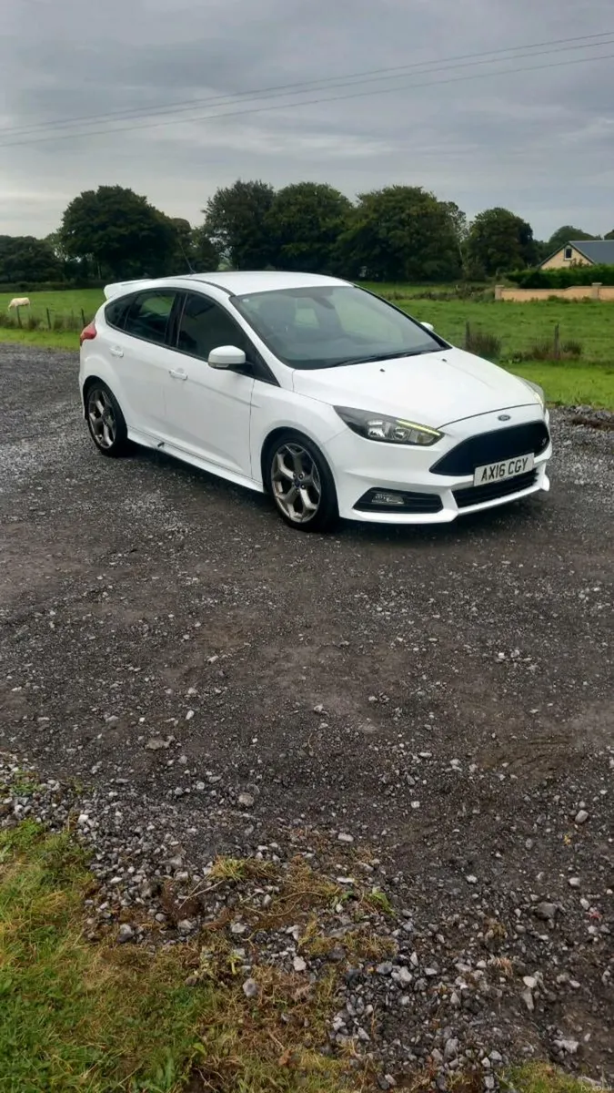 2016 ford focus ST250 - Image 1
