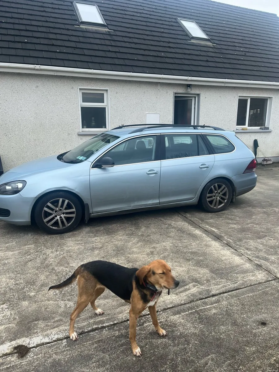 VW Golf Estate - Image 4