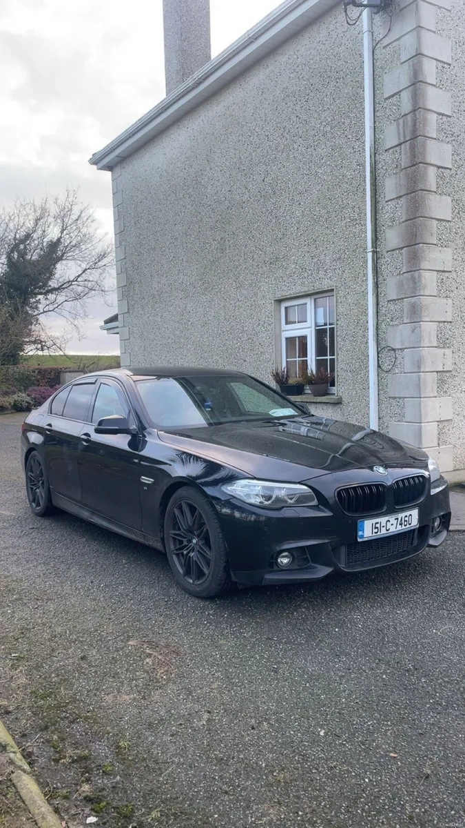 BMW 518d M sport - Image 2