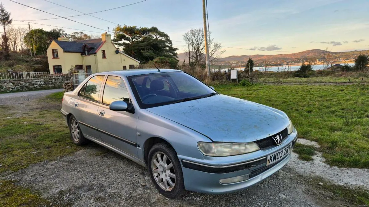 Peugeot 406 - Image 1