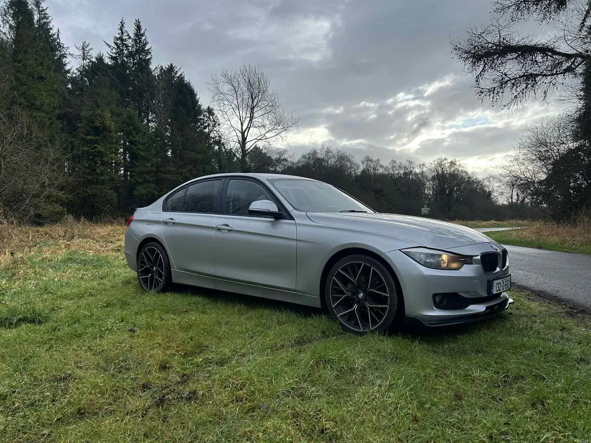 2013 BMW 316D - Image 3
