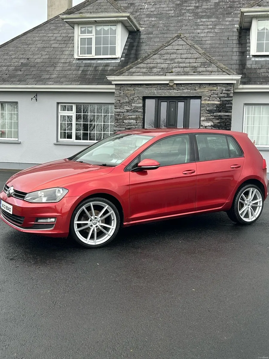 Volkswagen Golf 1.6 Tdi - Image 2