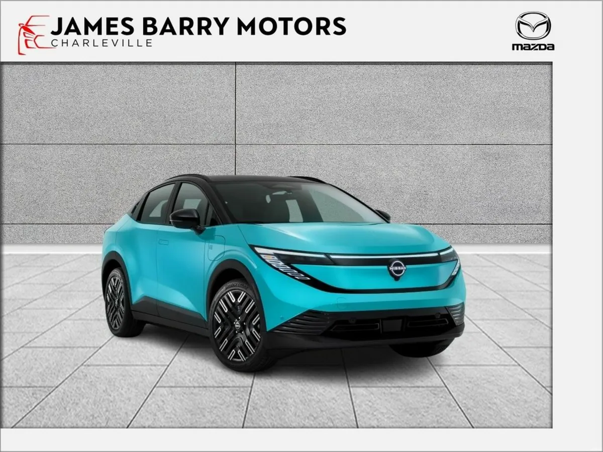 Nissan Leaf 52 & 77kwh Options - Image 1