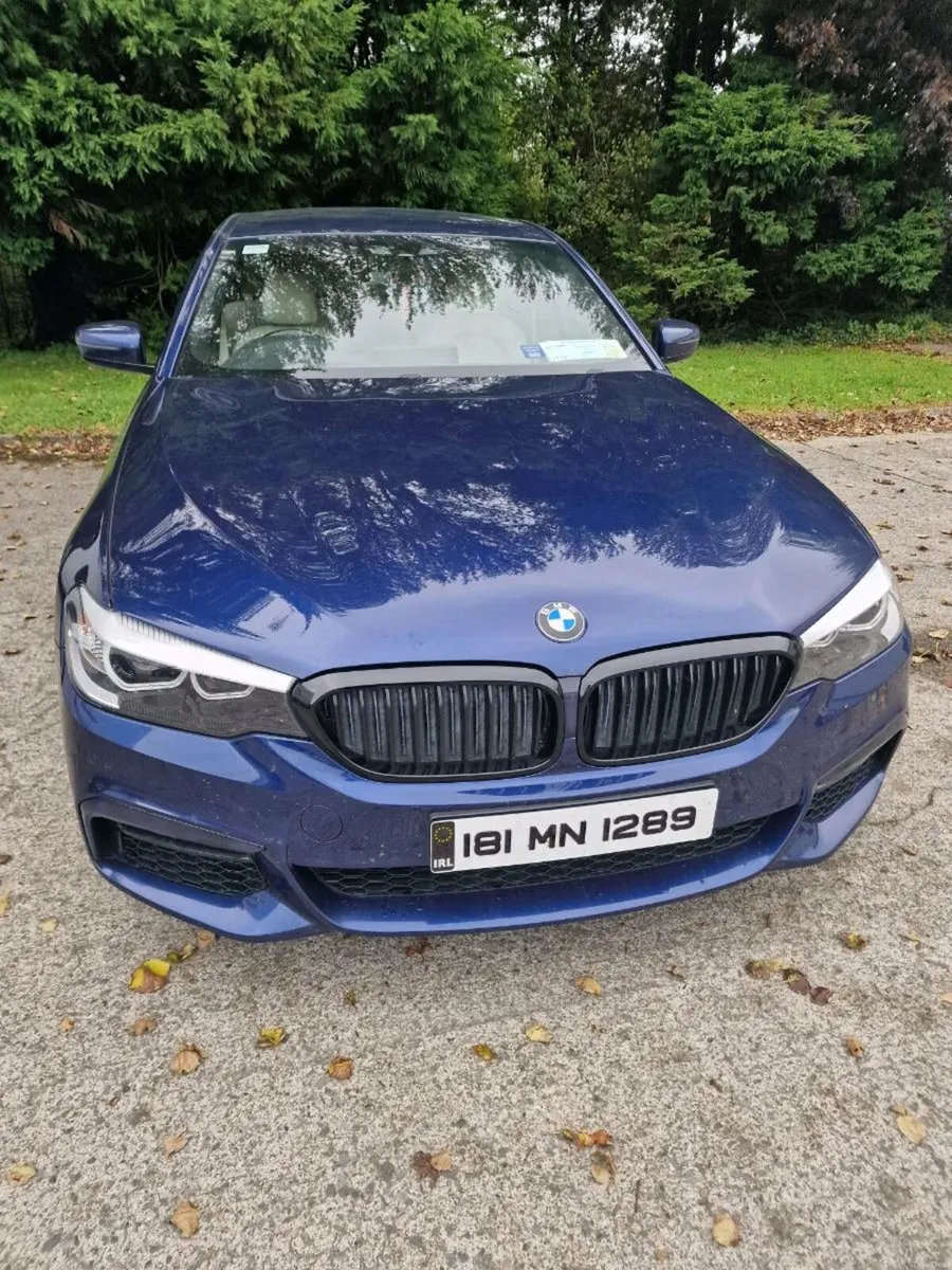 BMW 5 series 520d - Image 1
