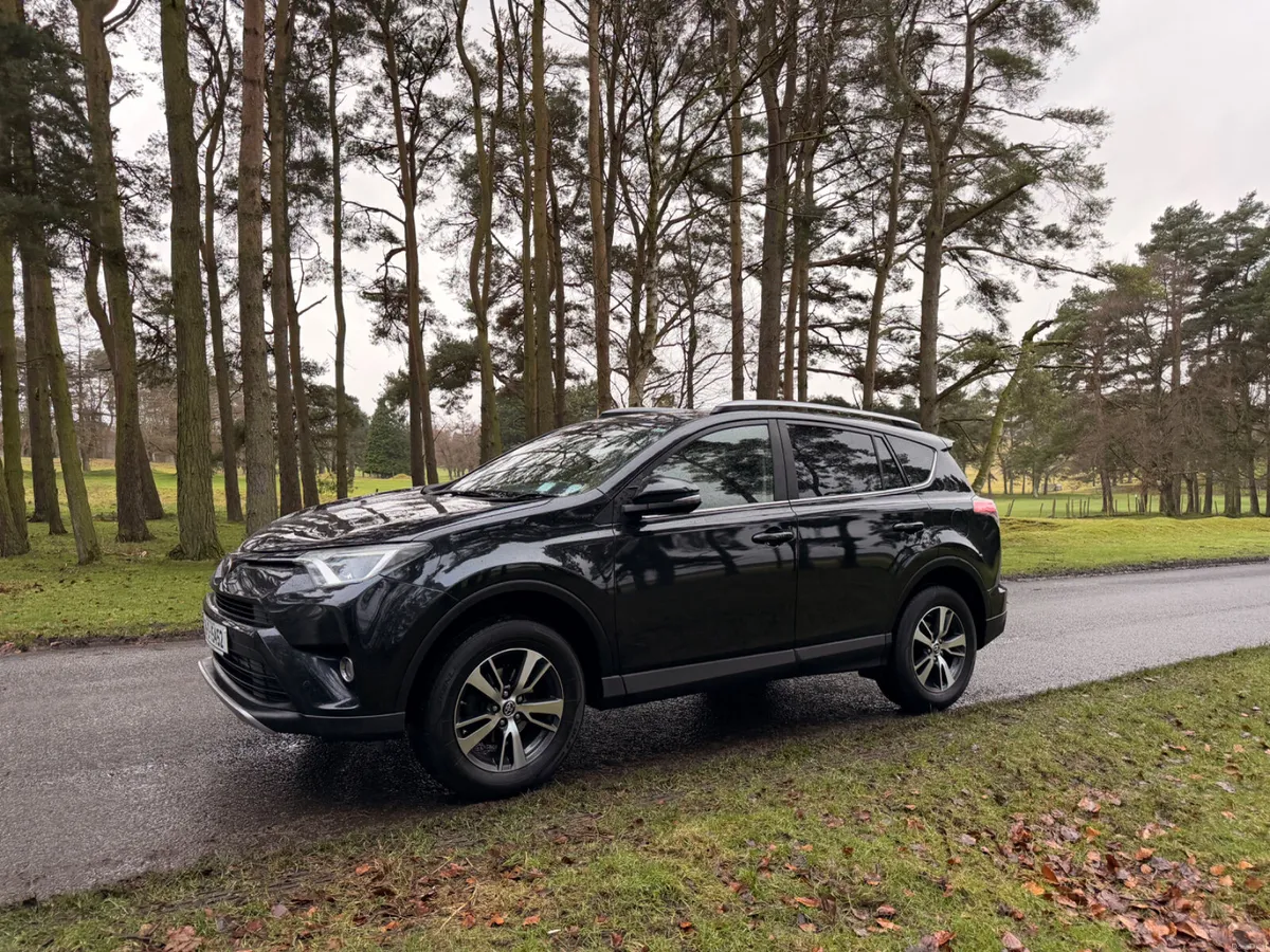 Toyota RAV4 2018 Luna Sport - Image 3