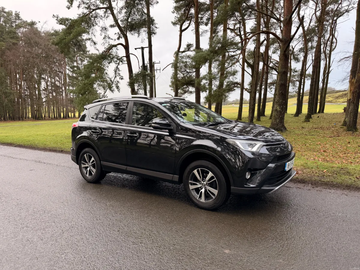 Toyota RAV4 2018 Luna Sport - Image 1