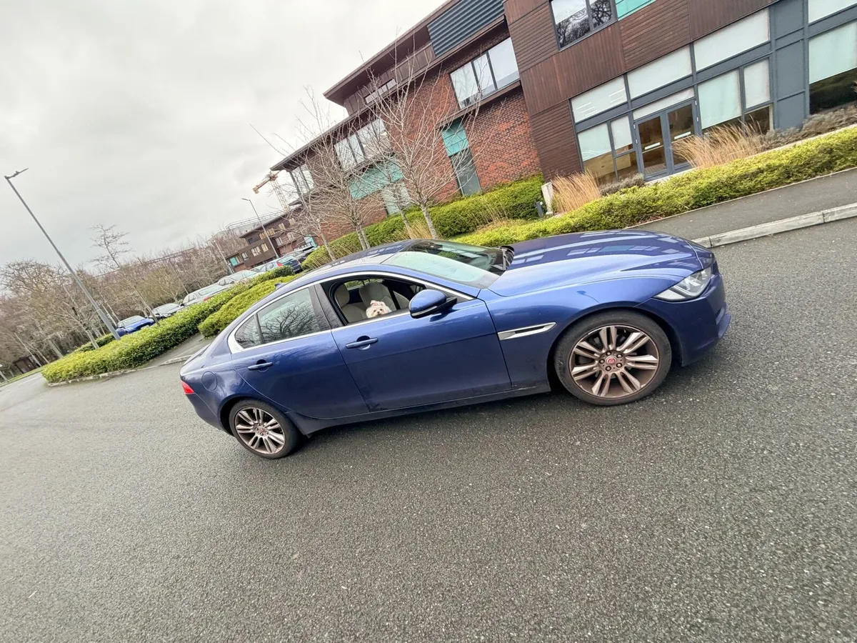 Jaguar XE 2016 Fresh NCT - Image 1