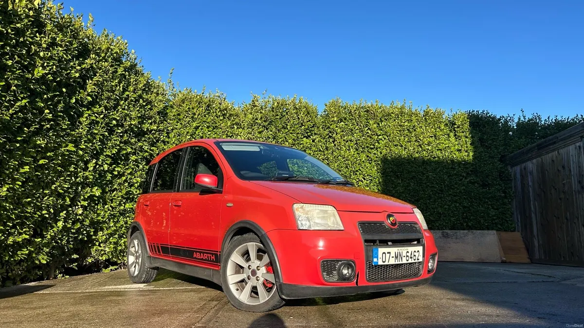 Fiat Panda 100hp - Image 1