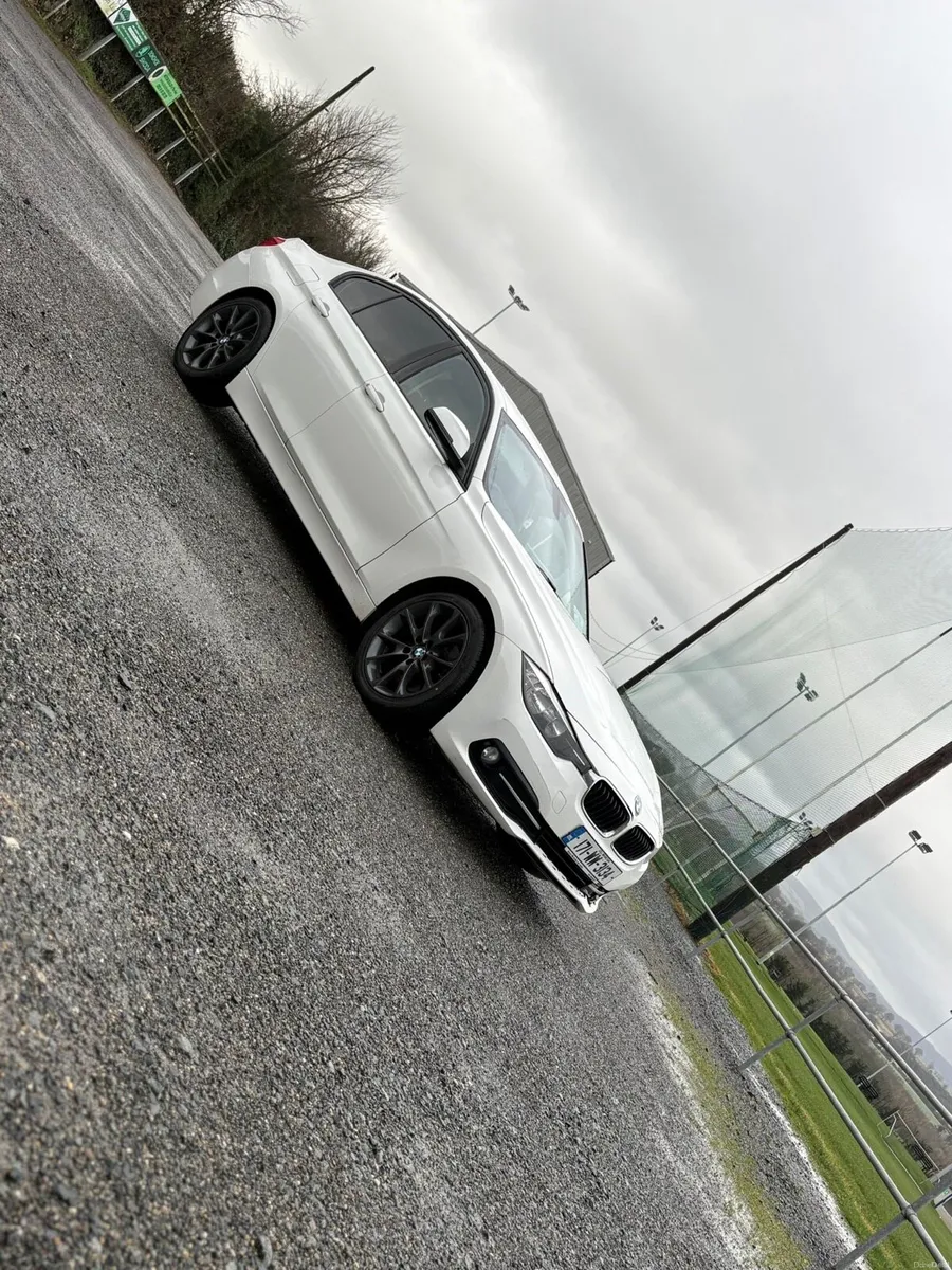 2017 BMW 320D - Image 2
