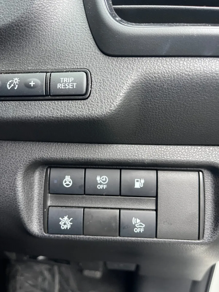 Nissan Leaf 2019 AUTECH - Image 4