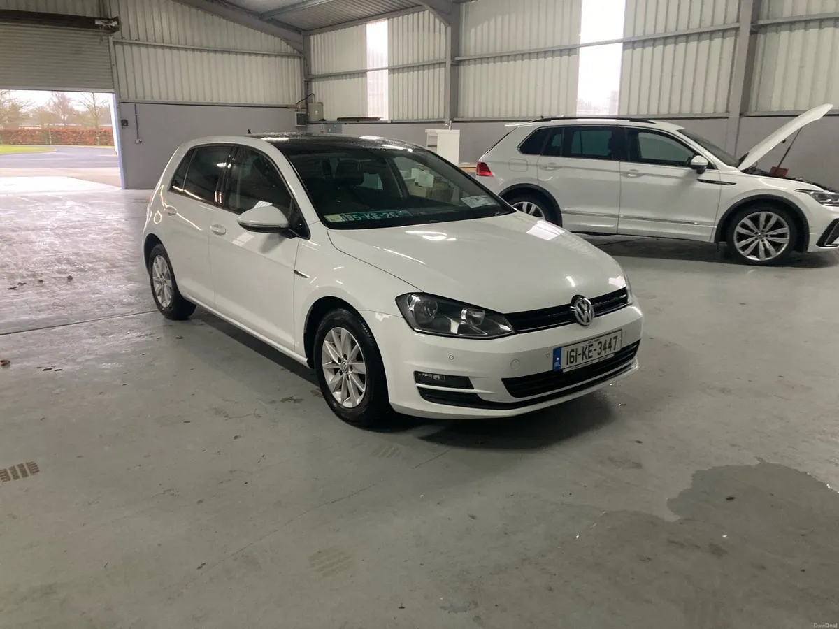 161 Golf Tdi lounge model - Image 3