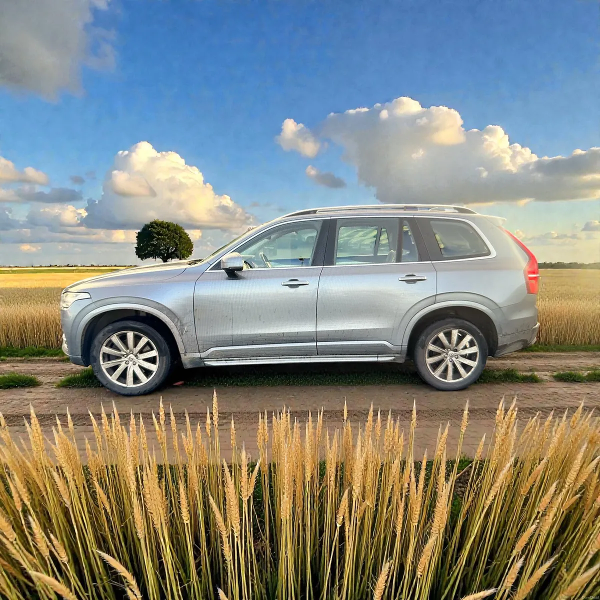 2016 Volvo XC90 2.0 D5 225PS AWD MOM GEARTRONIC - Image 4