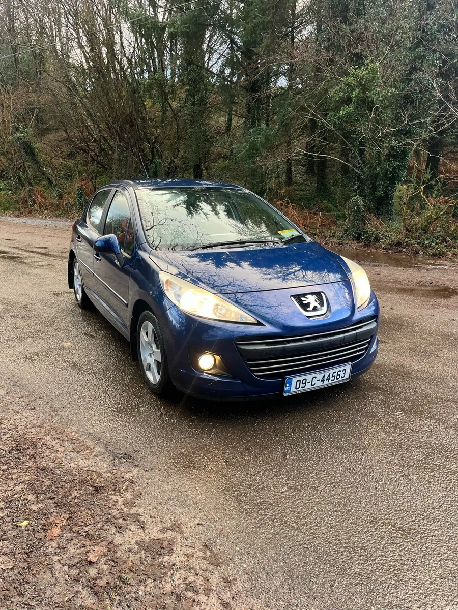 Peugeot 207 - Image 1