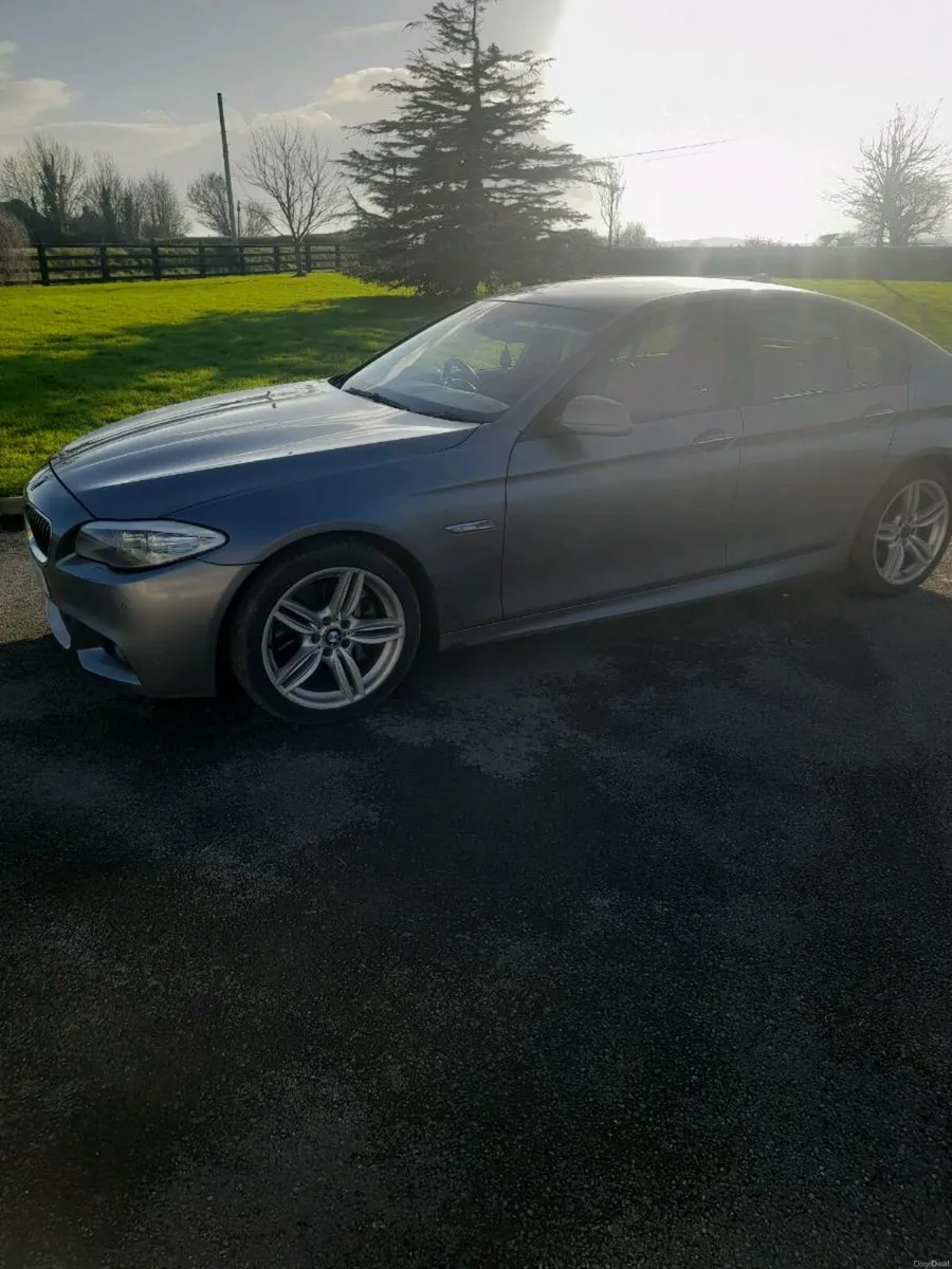 BMW 530 d - Image 2