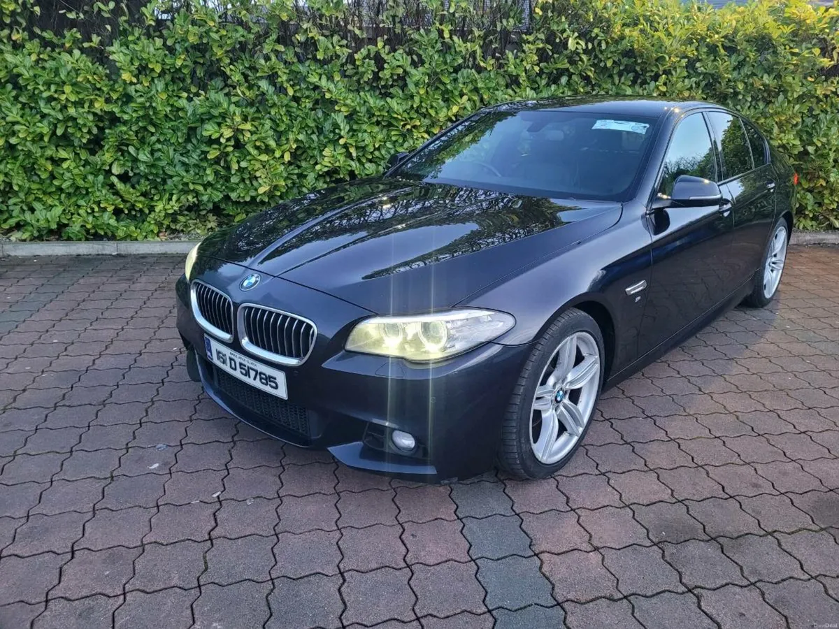Bmw 520d M Sport (low miles) 2015 & 2016 - Image 3