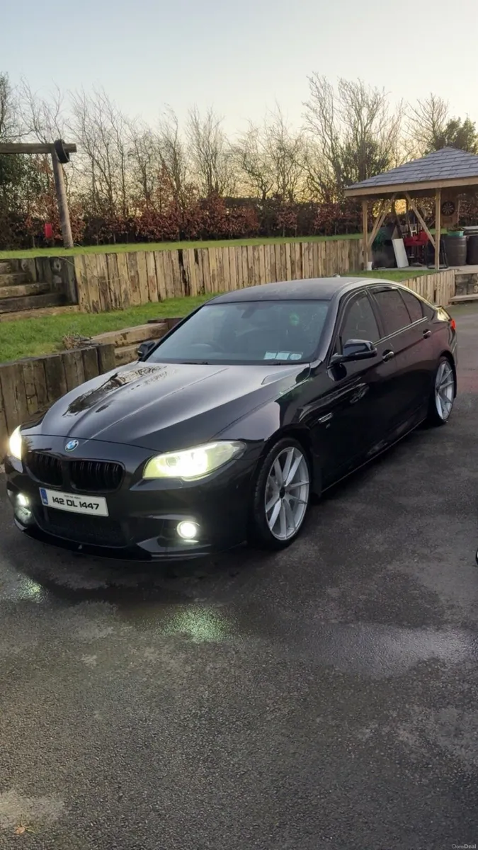 BMW f10 520d - Image 1