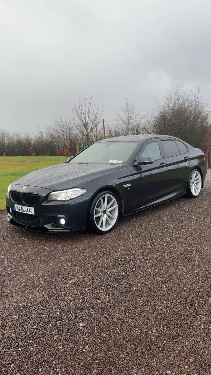 BMW f10 520d - Image 3