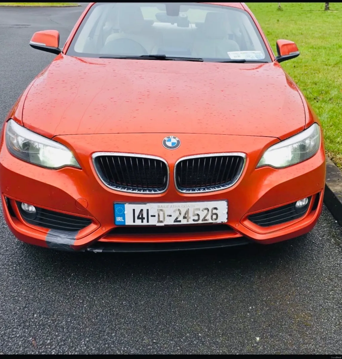 BMW 2-Series 2014 - Image 1