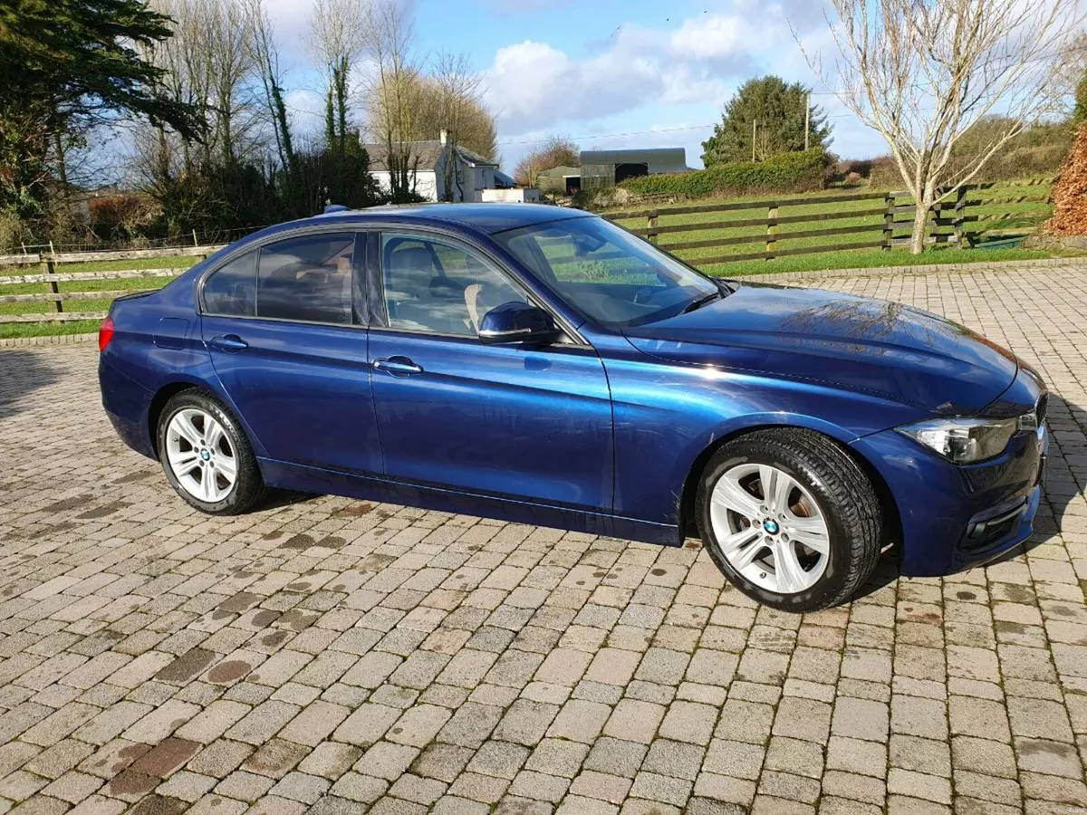 BMW 316 - Image 2