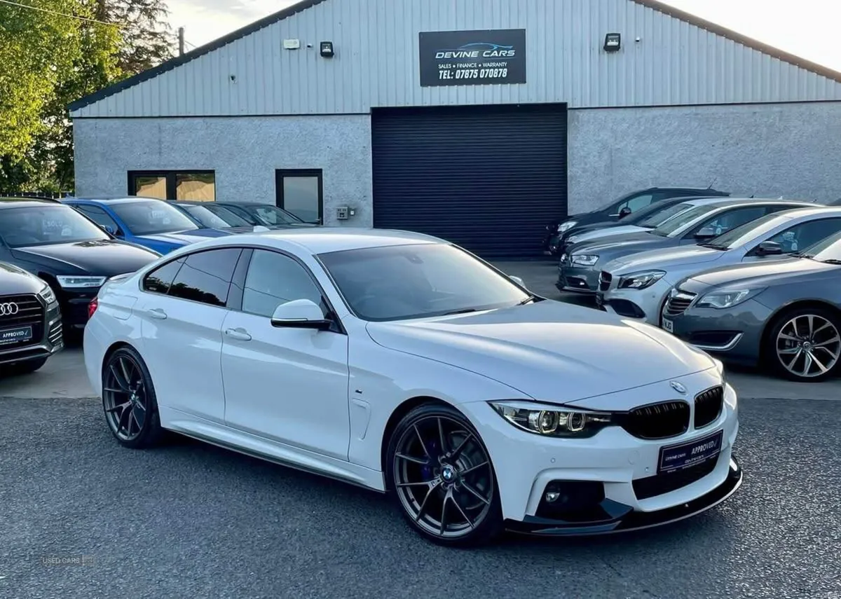 Aug 2018 BMW 4 Series 420d [190] M Sport 5dr Auto - Image 1