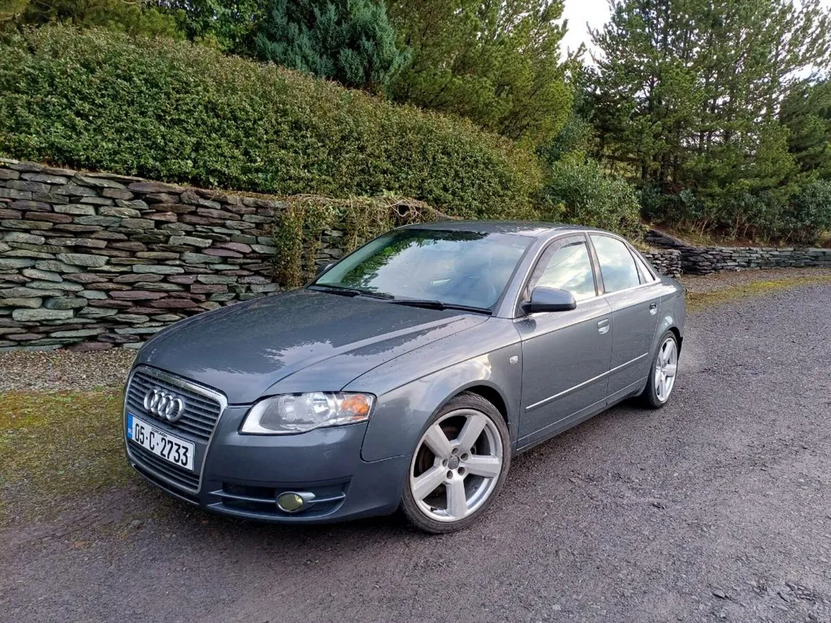 Audi A4 B7 1.9 tdi - Image 1