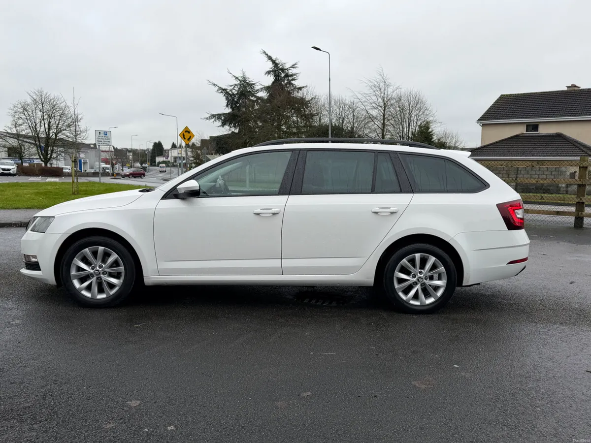 ABSOLUTELY IMMACULATE 2019 (192) OCTAVIA - Image 4