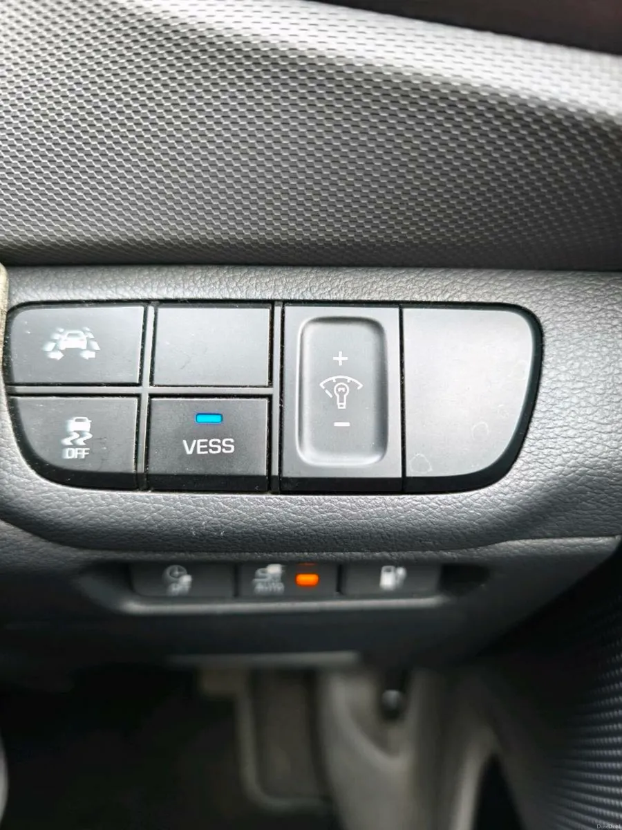 Hyundai Ionic 28 kwh,2019 - Image 4