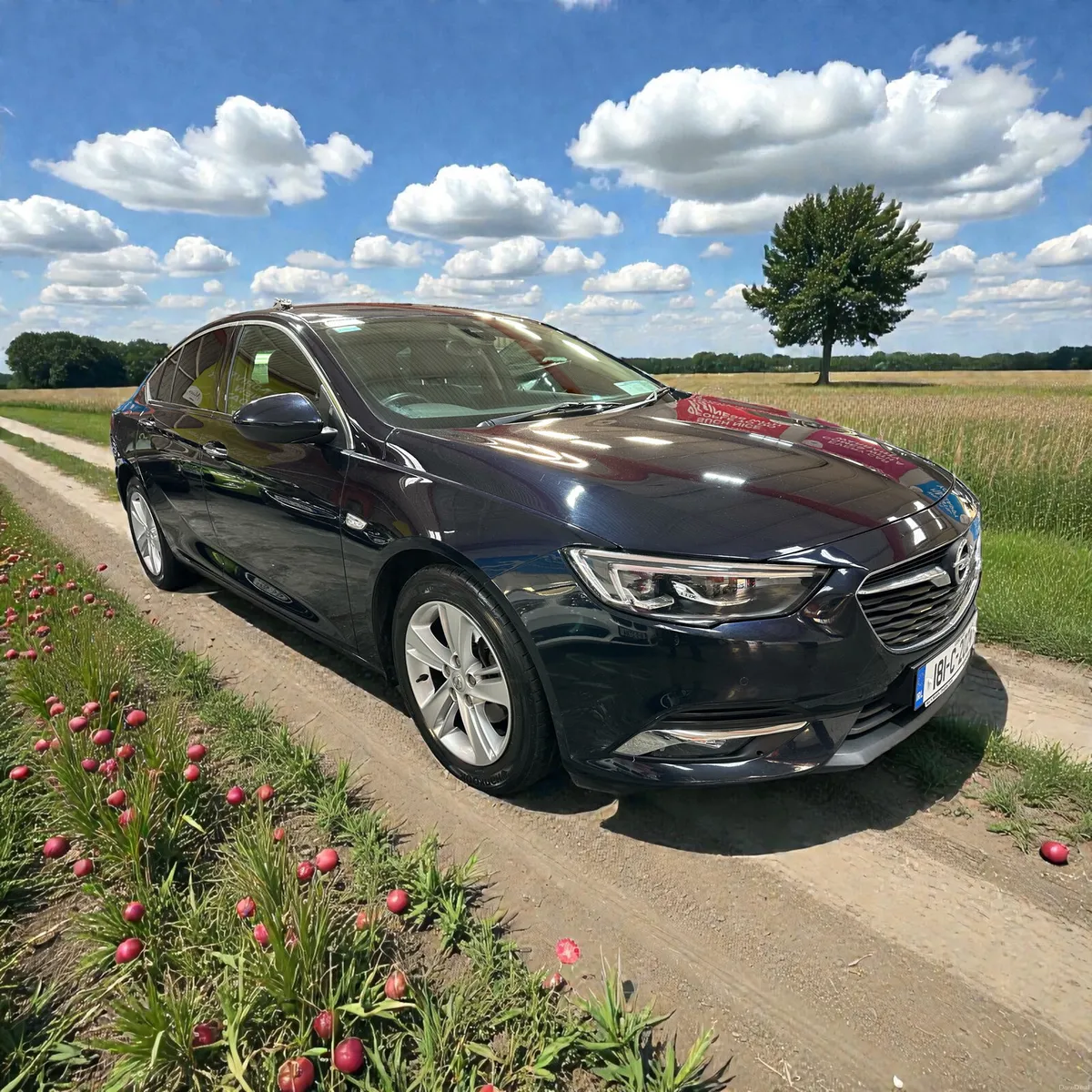 Opel Insignia 1.5 (140PS) Tbo ecoTEC ELITE Petrol - Image 3