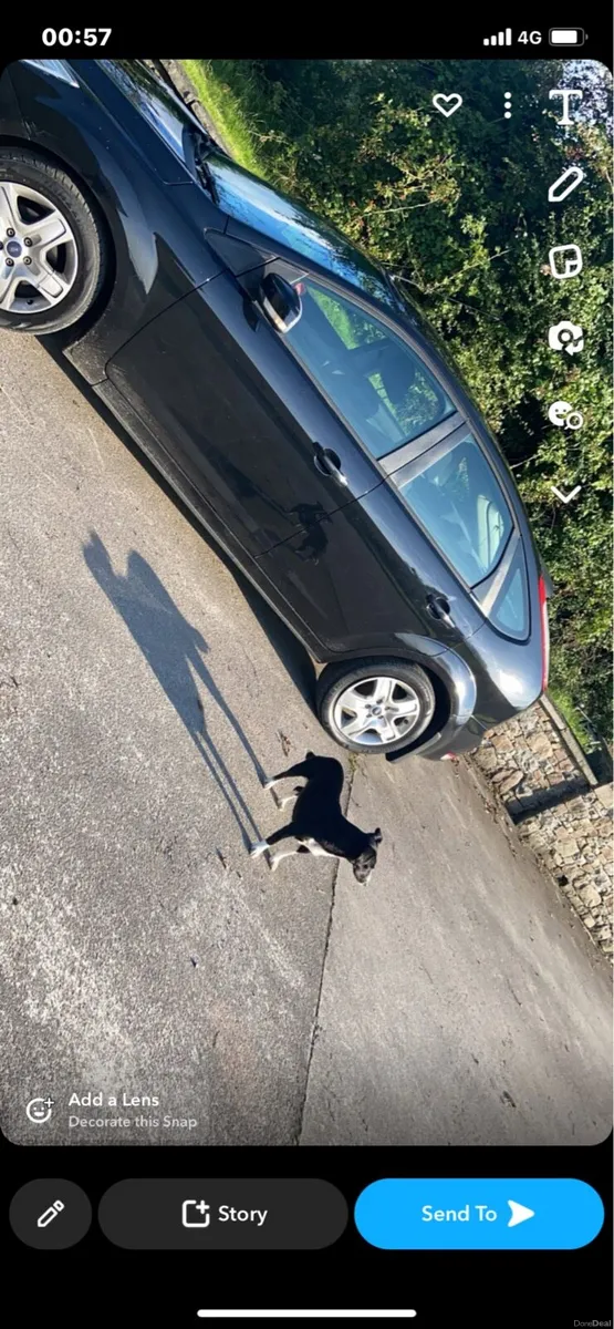 Ford Focus - Image 1