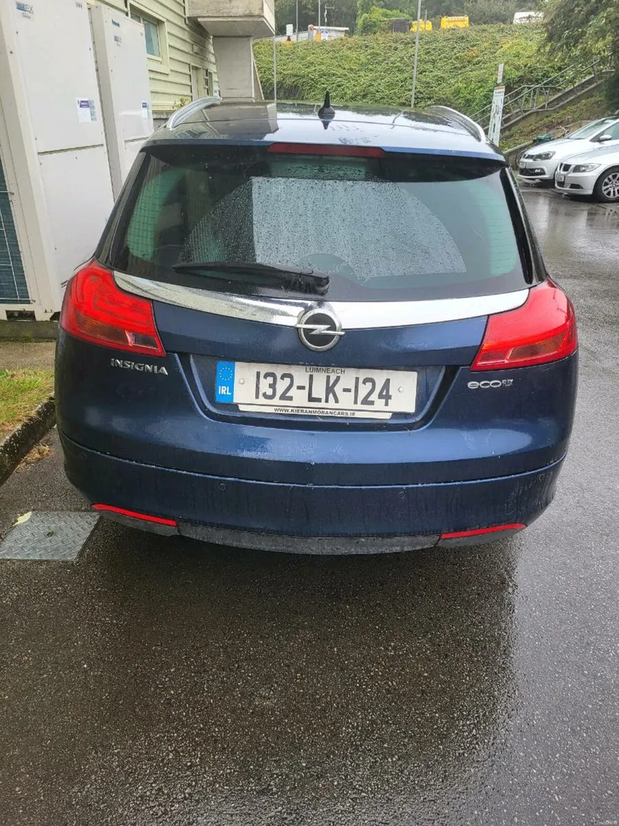 Opel Insignia estates - Image 1