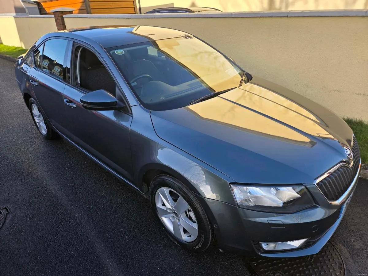 162 Octavia 2L 2Yr NCT - Image 2