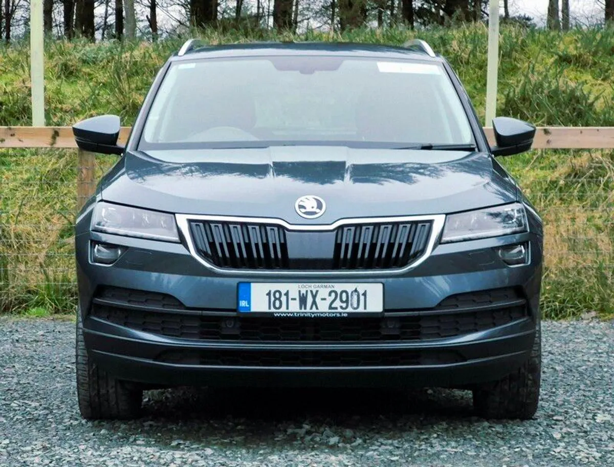 2018 Skoda Karoq Style Full Leather - Image 3