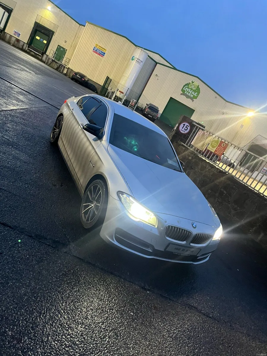 BMW 520d SE - Image 1