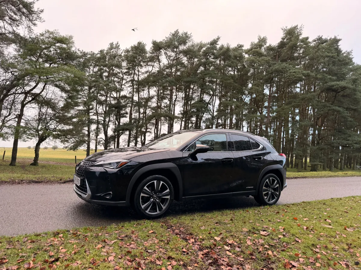 Lexus UX 2021 Luxury - Image 3