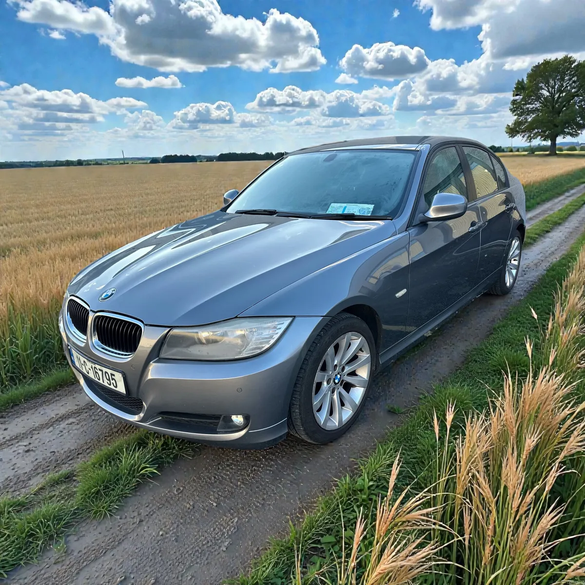 2011 BMW 3-Series 318D SE Immaculate condition - Image 3