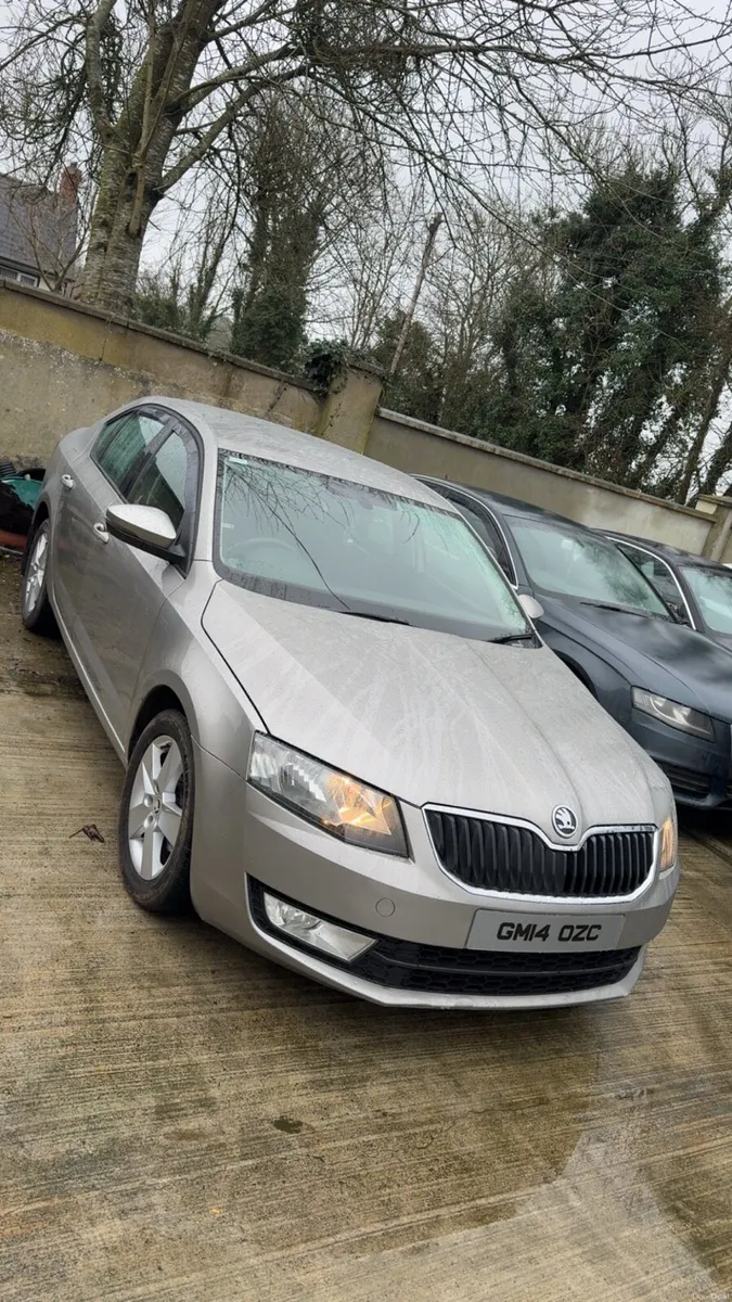 Skoda Octavia 1.6 TDI - Image 1