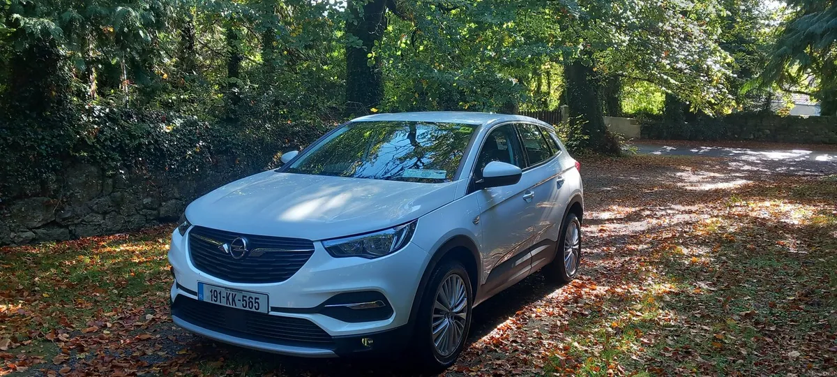 Opel Grandland X 2019 - Image 1