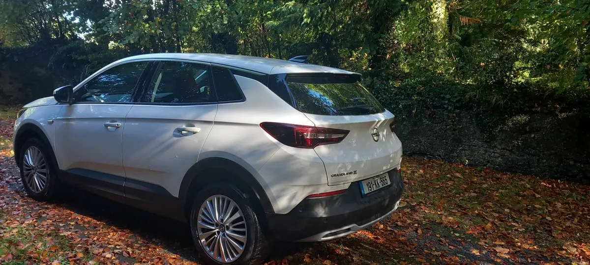 Opel Grandland X 2019 - Image 2